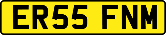 ER55FNM