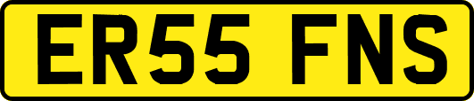 ER55FNS