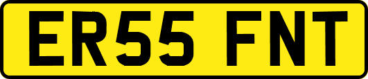 ER55FNT
