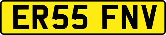 ER55FNV