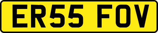 ER55FOV