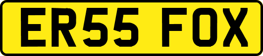 ER55FOX
