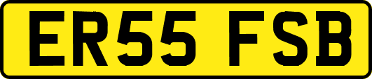 ER55FSB