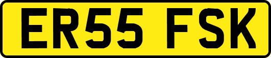 ER55FSK