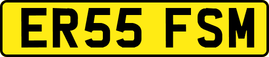 ER55FSM
