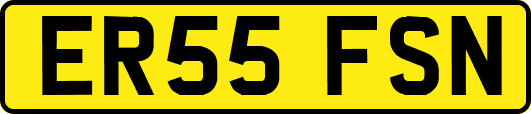 ER55FSN