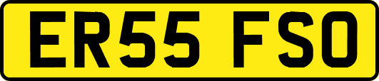 ER55FSO