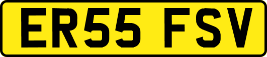ER55FSV