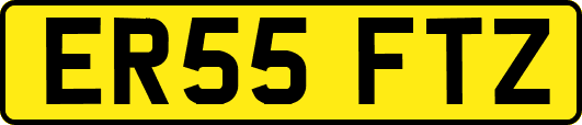 ER55FTZ