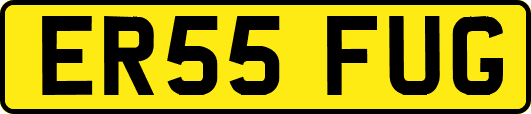 ER55FUG
