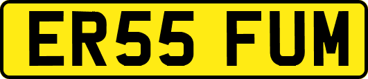 ER55FUM