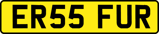 ER55FUR