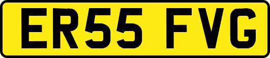 ER55FVG