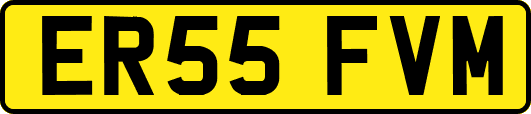 ER55FVM