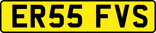 ER55FVS