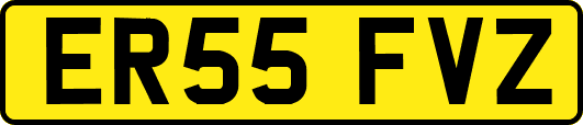 ER55FVZ