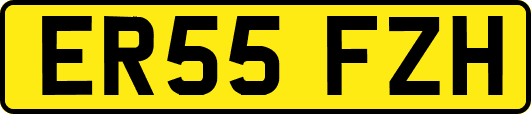 ER55FZH
