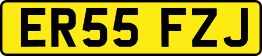 ER55FZJ