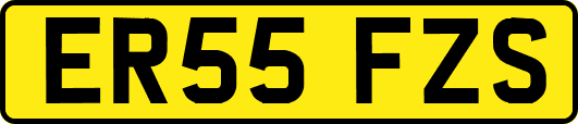 ER55FZS