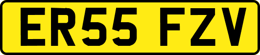 ER55FZV