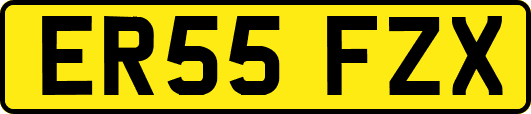 ER55FZX