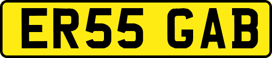 ER55GAB