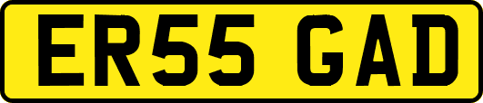 ER55GAD