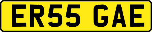 ER55GAE