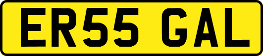 ER55GAL