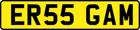 ER55GAM