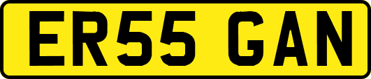 ER55GAN