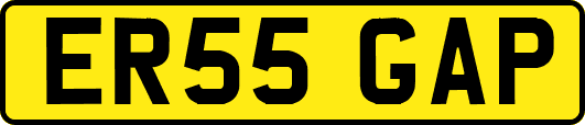 ER55GAP