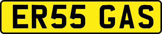 ER55GAS