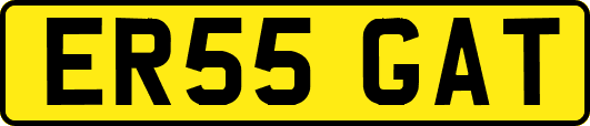 ER55GAT