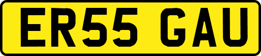 ER55GAU