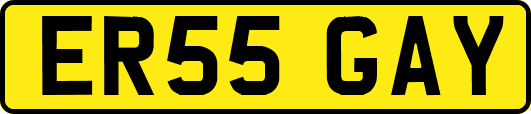 ER55GAY