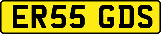 ER55GDS