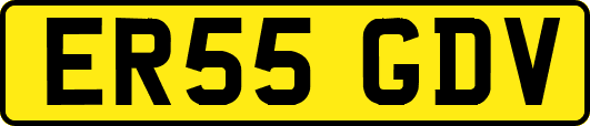 ER55GDV