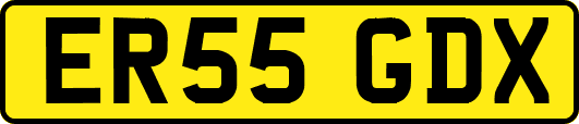 ER55GDX