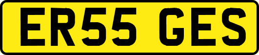 ER55GES