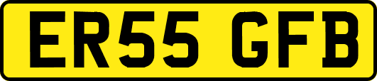 ER55GFB