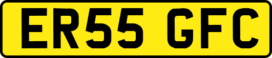 ER55GFC