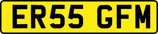 ER55GFM
