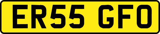 ER55GFO