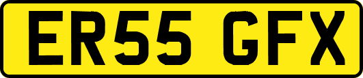 ER55GFX