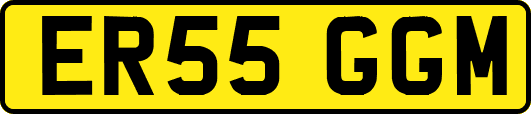 ER55GGM