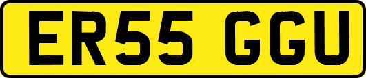 ER55GGU