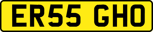 ER55GHO