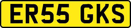 ER55GKS