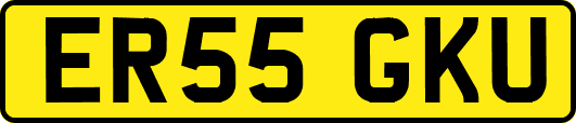 ER55GKU